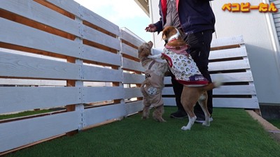 オヤツをあげようとしたら…