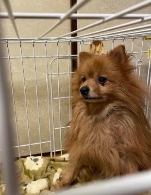 山に遺棄された?