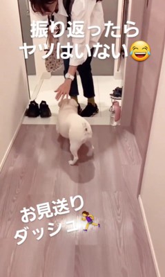 やまわきさんのお見送り2