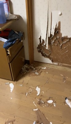 木くずが散らばった床