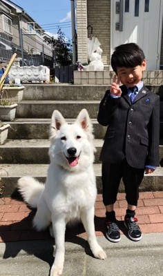 大型犬と子供