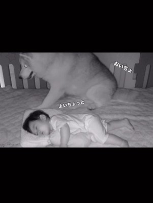 「よいしょ、よいしょ」