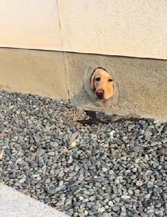 魅力的すぎる穴なのでした!