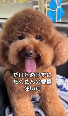 愛情を注ぎ続けた