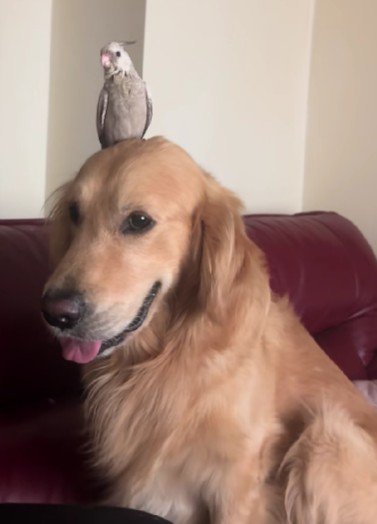 いつでも一緒の2人