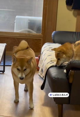 立ち去ろうとしたら…