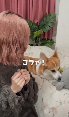 歌の最中にイタズラするうたちゃん8