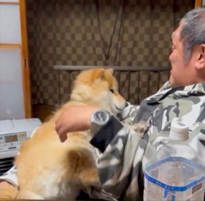 みるみるうちに