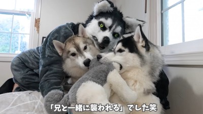 楽しいドッキリでした!