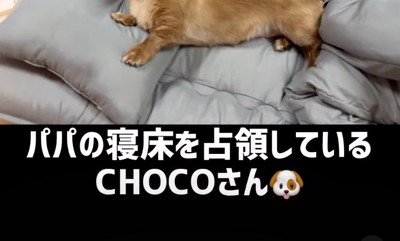 寝室に敷かれた布団