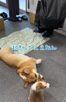 「心得てるだけでもいい」