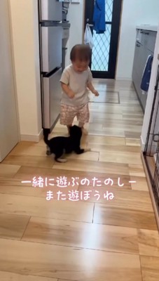 男の子の前で伏せる子犬