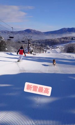 ゲレンデを爆走するリコくん