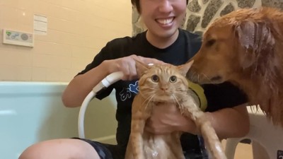 だいず君もケロリとしています