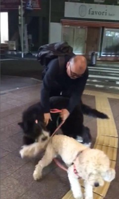 パパさんとプルミちゃん＆バニーちゃんの再会8