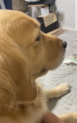 ドヤ顔のメルちゃん