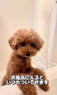 お風呂が大好き♡