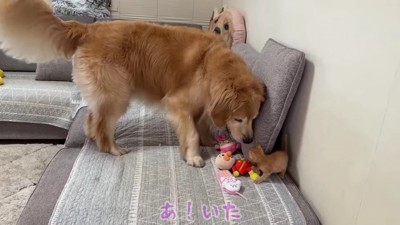 「大丈夫だった?」