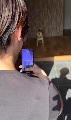 お友達が遊びに来た時のはちちゃん3