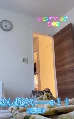 全速力で走ってくると…