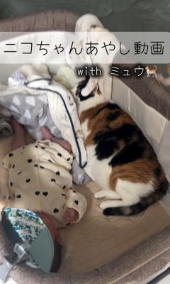 赤ちゃんが泣いた時のニコちゃん5