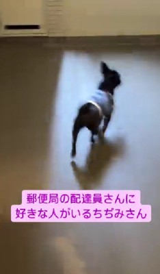 一目散に家の外へ！