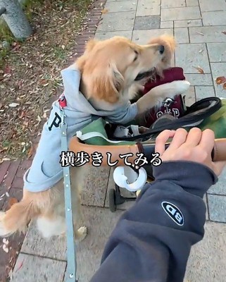 まさかの横歩きに爆笑♪