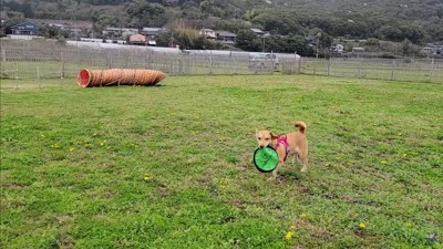 幸せになれてよかった