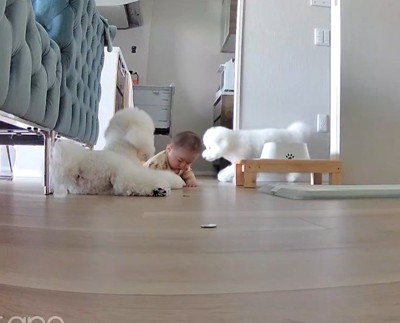 「まだママは戻らないかも～」