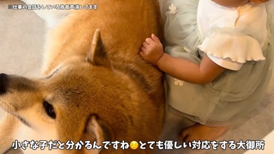 赤ちゃんが遊びに来た♪