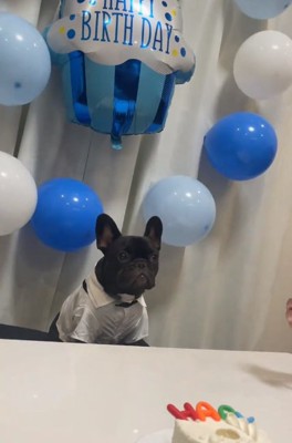 お父さんを見るぼんくん