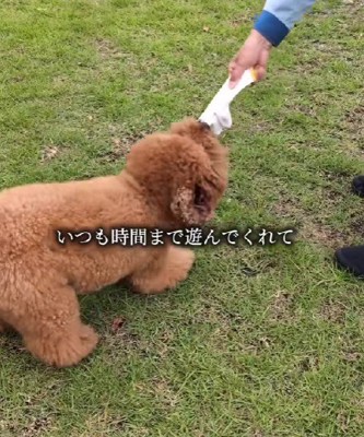 時間ギリギリまで遊んでくれた