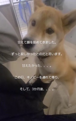 甘えるようになった