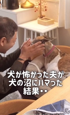 すっかり犬好きに…！