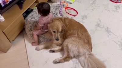 甘えていたら…