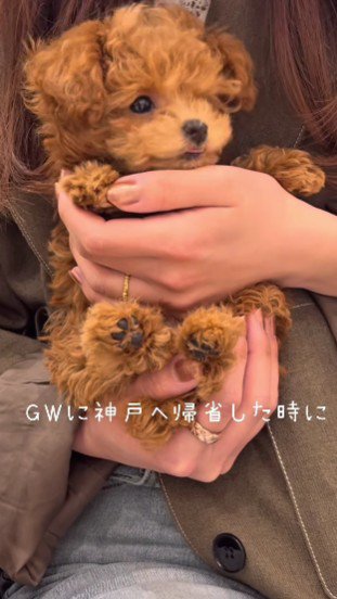 fu fuちゃんとの出会い