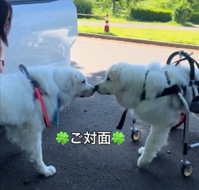 感動の再会