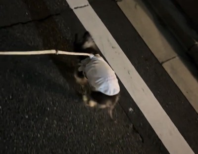 くしゃみをする瞬間