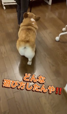 圧が強めの「取り調べ」