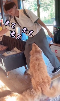 お兄ちゃん帰宅時のボスくん＆ルナちゃん5