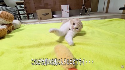 日向ぼっこを存分に満喫