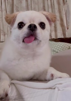 目が釘付けに…