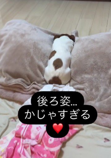 猫背でションボリ