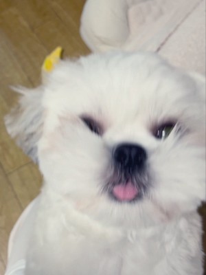 悶絶