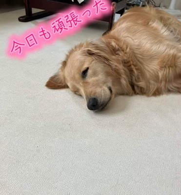 「今日も頑張ったなあ」