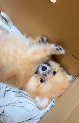 「ふわ～もう着いた？」