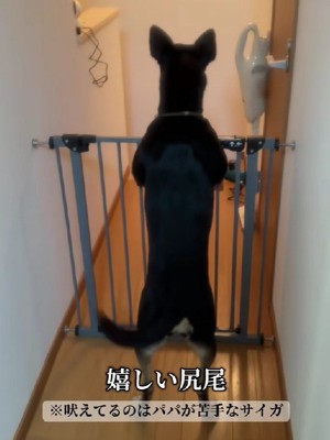 お父さんが帰ってくる日