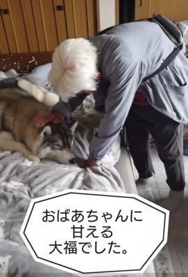 おばあちゃんに甘える大福くん