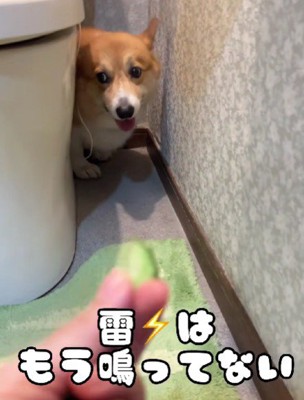 あれれ？？