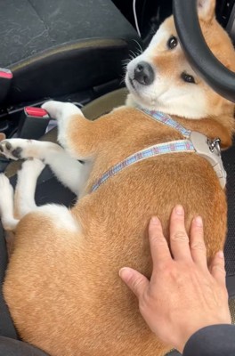 振り向くなっとうちゃん